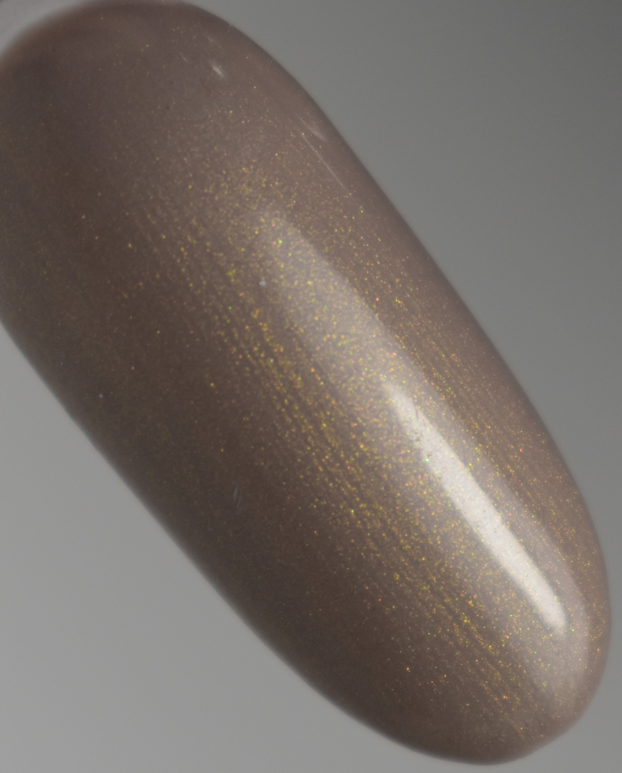 ASHRITH-WINTER-SPICE-2.jpg ASHRITH Winter Spice Gel Polish Collection 15ml - ASW2 - Light Sand Gold Shimmer Spice - Image 1