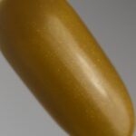 ASHRITH Winter Spice Gel Polish Collection 15ml - ASW3 - Mustard Gold Shimmer Spice