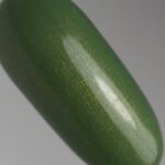 ASHRITH Winter Spice Gel Polish Collection 15ml - ASW4 - Olive Gold Shimmer Spice