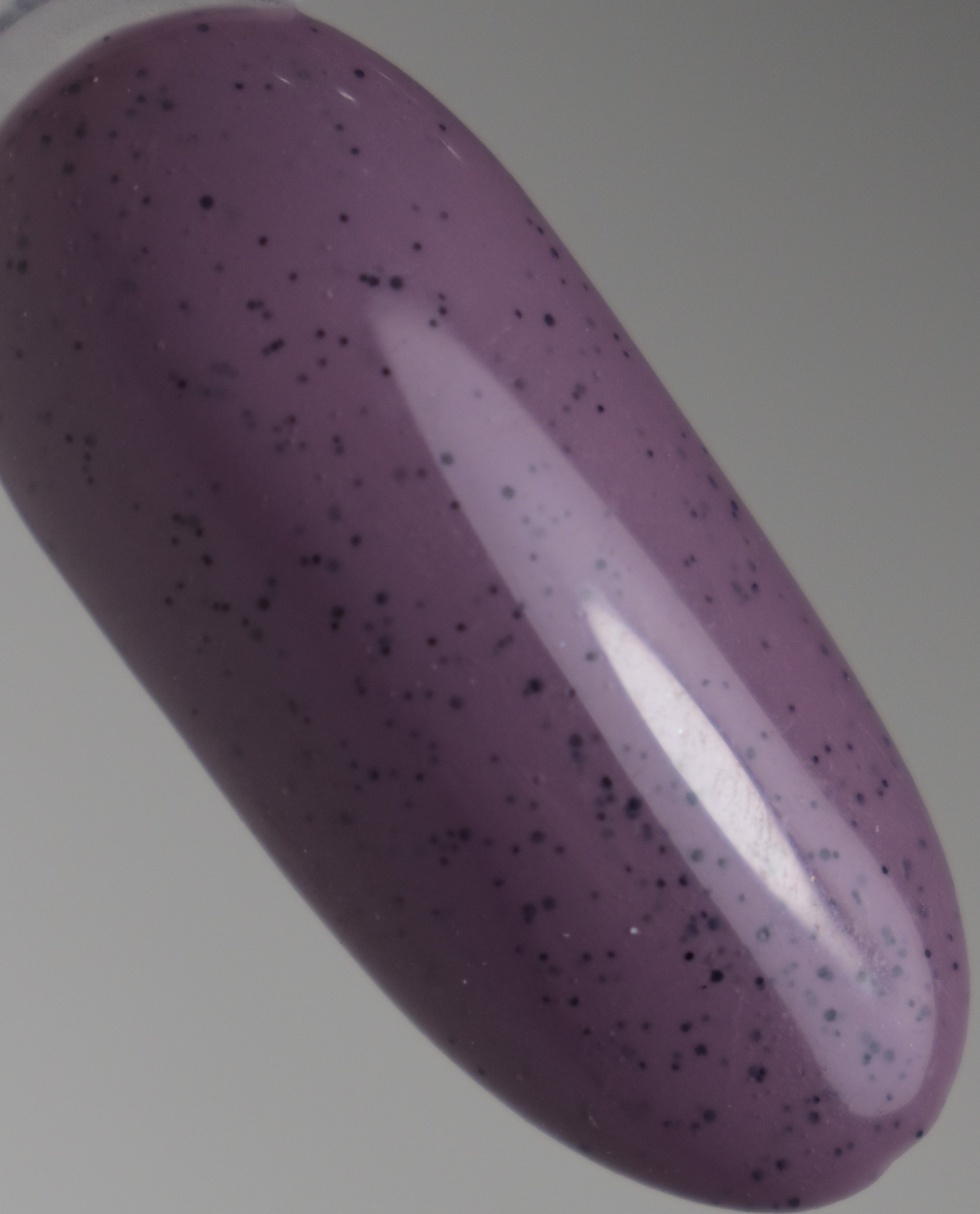 ASHRITH-WINTER-SPICE-5.jpg ASHRITH Winter Spice Gel Polish Collection 15ml - ASW5 - Winter Lilac Pepper Spice - Image 1