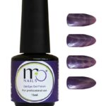 Cat Eye Gel Polish 15ml - 09 Stardust Eye