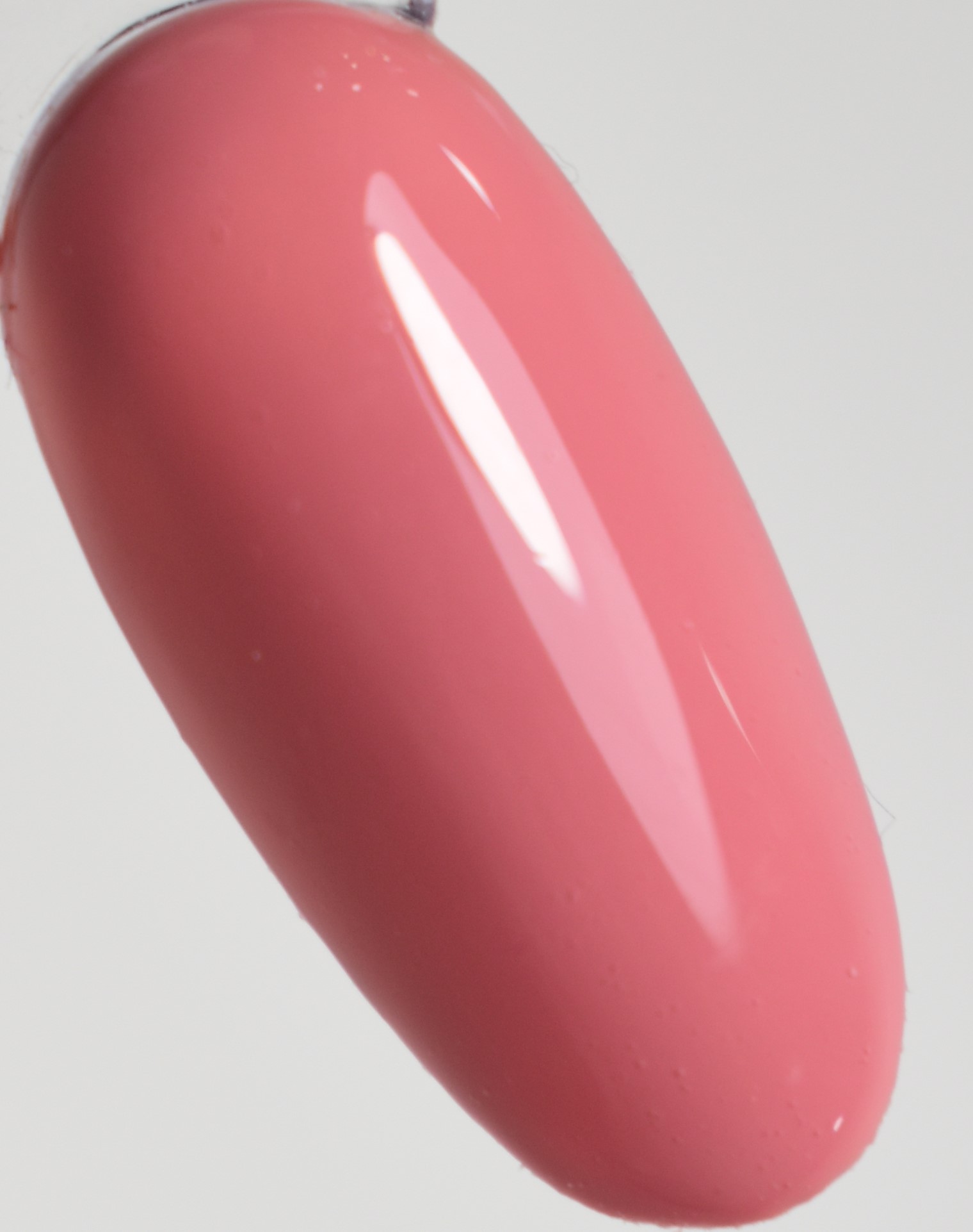 GLORIA10.jpg MO PLANTme GLORIA Gel Polish Color 15ml -PM145-10 - Image 1