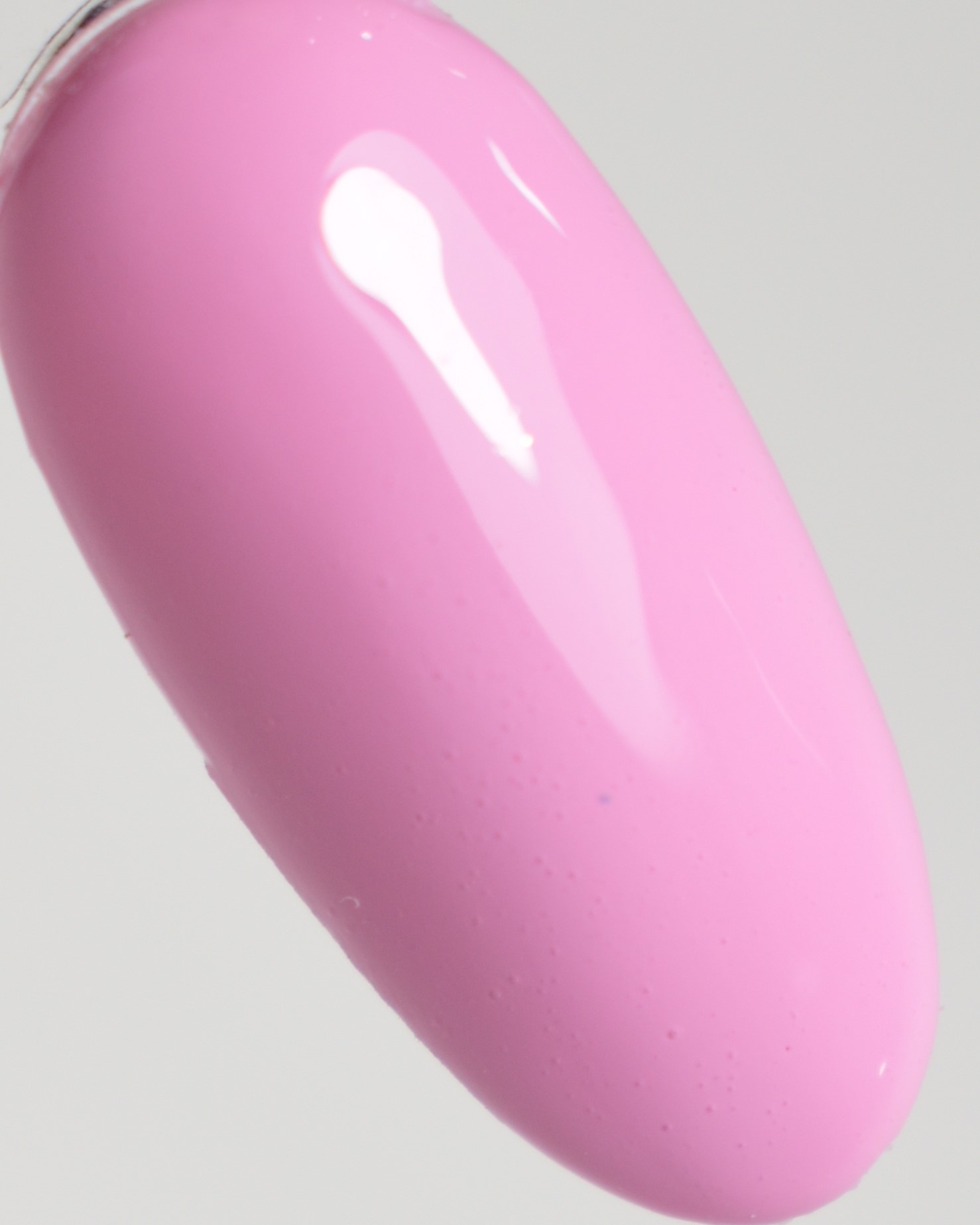 GLORIA19.jpg MO PLANTme GLORIA Gel Polish Color 15ml -PM154-19 - Image 1