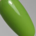 MO Gel Polish Colors - 7ml - Matcha Collection - MO72